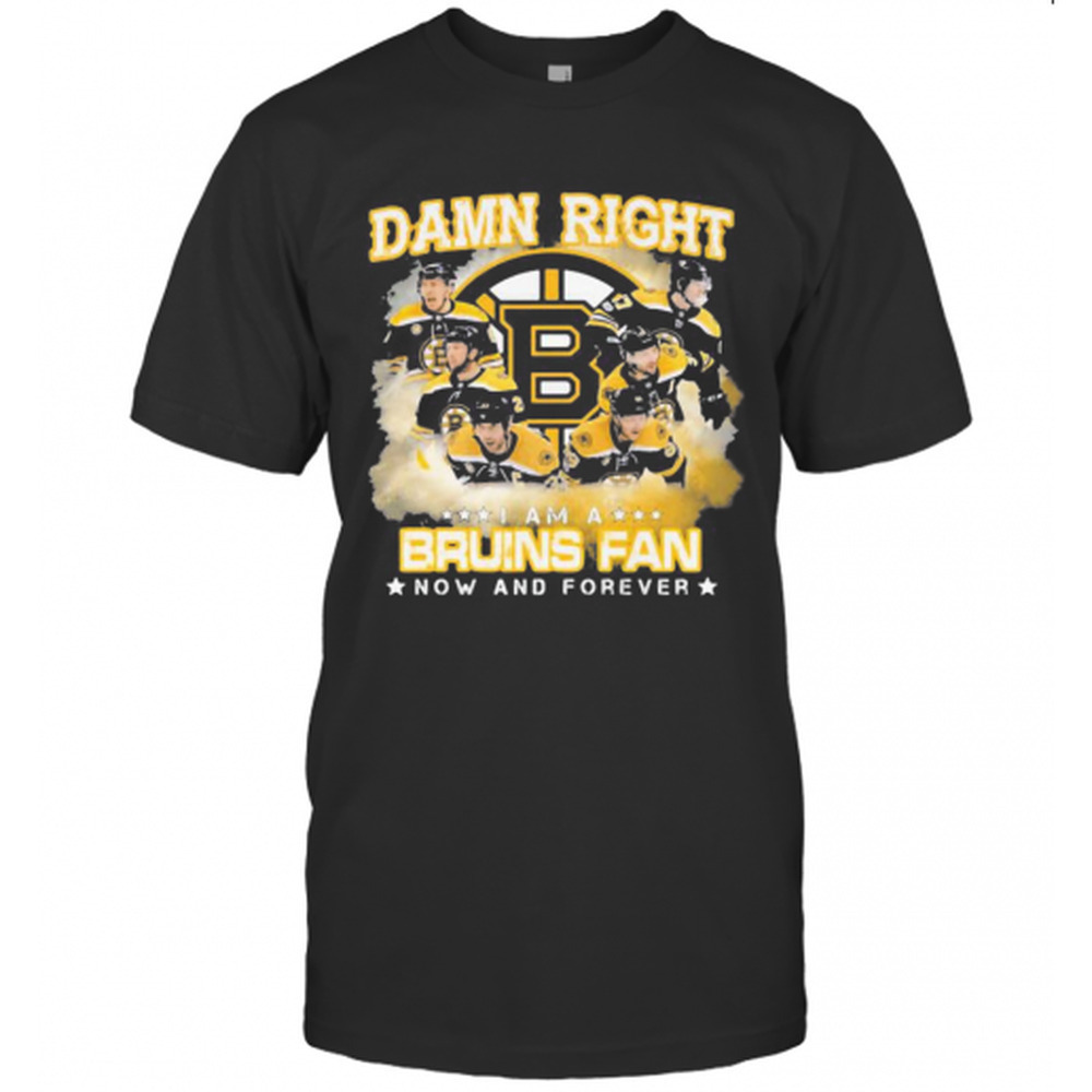 Damn Right I Am A Boston Bruins Fan Now And Forever Stars T-Shirt